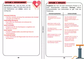 Vorschau - Arbeitsblätter - Das Herz- Forscherheft (8. Seiten) inkl. Informationstext | Unterrichtsreihe "Der Mensch", Biologie, 6./7. Klasse - Seite 3