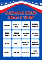 Vorschau - Anderer Materialtyp - Buzzword Bingo – Donald Trump Rhetorik - Seite 2