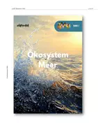 Vorschau - Unterrichtsreihen - Komplettpaket: Ökosystem: Meer - Seite 2