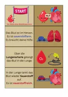 Vorschau - Spiele - Legespiel Herzkreislauf - Biologie - Seite 1