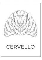 anteprima - Schede informative - Schede Didattiche sull’Anatomia del Corpo Umano - Pagina 3