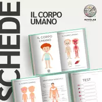 anteprima - Schede informative - Schede Didattiche sull’Anatomia del Corpo Umano - Pagina di copertina