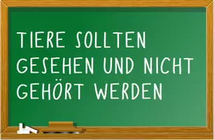 Vorschau - Stundenentwürfe - Unterrichtsstunde zum Film Wicked - Deckblatt