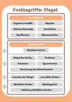 Vorschau - Poster - Jean Piaget - Fachbegriffe (Poster/Klettaktivität) - Seite 2
