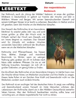 Vorschau - Arbeitsblätter - Rothirsch: Leseverständnis und Kreuzworträtsel mit Antworten für die 3. Klasse, 4. Klasse. - Seite 1