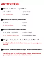 Vorschau - Arbeitsblätter - Rothirsch: Leseverständnis und Kreuzworträtsel mit Antworten für die 3. Klasse, 4. Klasse. - Seite 3