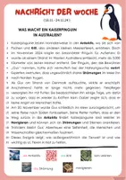 Vorschau - Arbeitsblätter - Nachricht der Woche - KW47 2024: Kaiserpinguin Gus - Seite 1