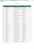 anteprima - Esercizi - Inglese - Aggettivi che terminano in -able / -ible - Pagina 2