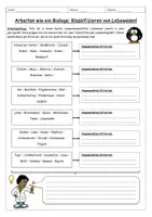 Vorschau - Arbeitsblätter - Klassifizieren von Lebewesen / Systematik - Arbeitsblatt - Seite 1