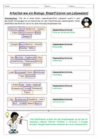 Vorschau - Arbeitsblätter - Klassifizieren von Lebewesen / Systematik - Arbeitsblatt - Seite 2