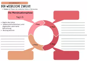Vorschau - Arbeitsblätter - Materialpaket Verhütung - Seite 2