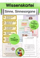 Vorschau - Stationenlernen - Wissenskartei Sinne Sinnesorgane Gruppenarbeit Sachunterricht Klasse 3 Klasse 4 - Deckblatt