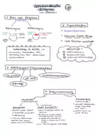 Vorschau - Arbeitsblätter - Lernlandkarte Thema Enzyme - Seite 2