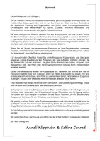 Vorschau - Lehrpläne/Lehrermaterial - Drei Krippenspiele für Schulen und Kirchengemeinden | Weihnachten, Bibel, Schulgottesdienst, Christvesper, Kostümvorschläge | Religion Grundschule Klasse 1-4 - Seite 3