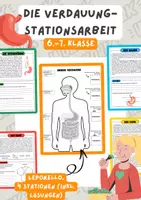 Vorschau - Arbeitsblätter - Die Verdauung- Stationsarbeit und Leporello | Unterrichtsreihe "Der Mensch", Biologie 6./7. Klasse - Deckblatt