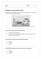 Vorschau - Arbeitsblätter - Arbeitsblatt Flut Jahrhunderthochwasser 2013 in Bayern - Deckblatt