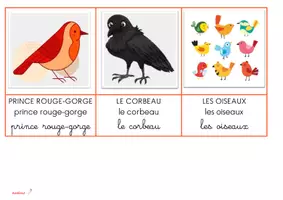Aperçu - Affichage - Le Noël des oiseaux - Page 1