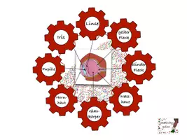 Vorschau - Spiele - Zahnrad zum Auge - Deckblatt