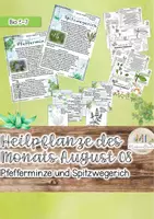 Vorschau - Stundenentwürfe - Heimische Heilpflanzen im August: Spitzwegerich und Pfefferminze - Deckblatt