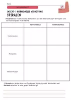 Vorschau - Arbeitsblätter - Verhütungsmittel- Vergleich Kupfer- und Hormonspiralen - Seite 1