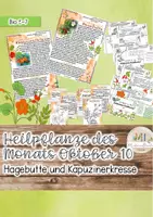 Vorschau - Stundenentwürfe - Heimische Heilkräuter im Oktober: Kapuzinerkresse und Hagebutte - Deckblatt