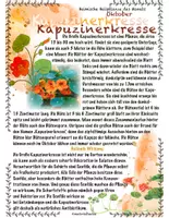 Vorschau - Stundenentwürfe - Heimische Heilkräuter im Oktober: Kapuzinerkresse und Hagebutte - Seite 2