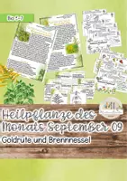 Vorschau - Stundenentwürfe - Heimische Heilkräuter im September: Brennnessel und Goldrute - Deckblatt