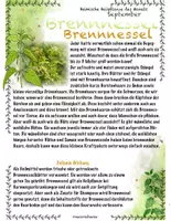 Vorschau - Stundenentwürfe - Heimische Heilkräuter im September: Brennnessel und Goldrute - Seite 1