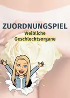 Vorschau - Spiele - Zuordnungsspiel - Geschlechtsorgane der Frau - Deckblatt