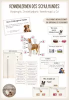 Vorschau - Arbeitsblätter - (Schul-) Hund: Kennenlernen, Regeln, Streichellandkarte (interaktive Datei & AB's) - Deckblatt