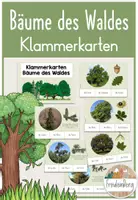 Vorschau - Unterrichtsreihen - Wald - GESAMTPAKET - Klasse 2/3 - differenziert (inkl. Stundenentwürfe) - Seite 1