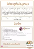 Vorschau - Unterrichtsreihen - Wald - GESAMTPAKET - Klasse 2/3 - differenziert (inkl. Stundenentwürfe) - Seite 3