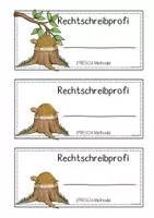 Vorschau - Merkblätter - FRESCH Rechtschreibprofi Schildkröte - Deckblatt