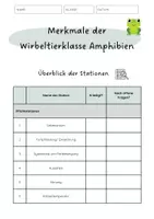 Vorschau - Arbeitsblätter - Merkmale der Wirbeltierklasse Amphibien - Stationen - Seite 2