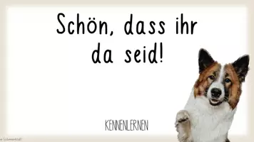 Vorschau - Arbeitsblätter - (Schul-) Hund: Kennenlernen, Regeln, Streichellandkarte (interaktive Datei & AB's) - Seite 2