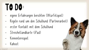 Vorschau - Arbeitsblätter - (Schul-) Hund: Kennenlernen, Regeln, Streichellandkarte (interaktive Datei & AB's) - Seite 3