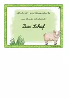 Vorschau - Arbeitsblätter - Das Schaf - Abschreibkartei zum Üben der Schreibschrift (LA) - 3fach differenziert - Seite 2