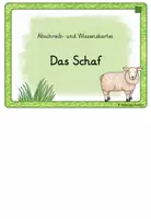 Vorschau - Aufgabenkarten - Das Schaf - Abschreib- und Wissenskartei - Seite 1