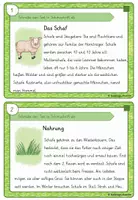 Vorschau - Aufgabenkarten - Das Schaf - Abschreib- und Wissenskartei - Seite 2