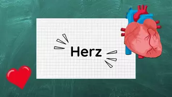 Vorschau - Stundenentwürfe - Herz inkl Lösungen Teil 4 - Herz & Blutkreislauf - Biologie - Seite 3