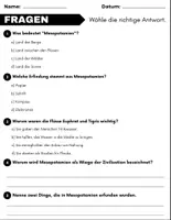 Vorschau - Arbeitsblätter - Mesopotamien: Leseverständnis und Kreuzworträtsel mit Lösungen - Seite 2