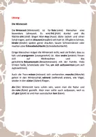 Vorschau - Arbeitsblätter - Arbeitsblatt: Fehlertexte Rechtschreibung (Winterzeit) - Seite 2