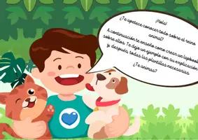 Vista previa - Tarjetas / Manipulativos - LAPBOOK SOBRE EL REINO ANIMAL - página 3