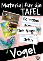 Vorschau - Präsentationen/Tafelbilder - Tafelmaterial zum Thema Vogel (Körperteile) - Deckblatt