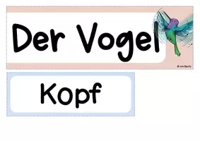 Vorschau - Präsentationen/Tafelbilder - Tafelmaterial zum Thema Vogel (Körperteile) - Seite 2