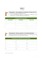 Vorschau - Unterrichtsreihen - Stationenarbeit "Evangelisch-katholisch: Gemeinsamkeiten & Unterschiede" - Klasse 5-6 (Skript mit Lösung) - Seite 3
