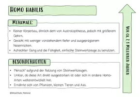 Vorschau - Arbeitsblätter - DIE EVOLUTION DES MENSCHEN: MERKBLATT, ARBEITSBLATT, QUIZ - Seite 3