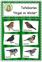 Vorschau - Präsentationen/Tafelbilder - Tafelkarten: "Vögel im Winter" - Deckblatt