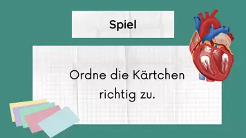Vorschau - Stundenentwürfe - Blutdruck inkl Lösungen Teil 5 - Herz & Blutkreislauf - Biologie - Seite 1
