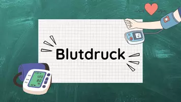 Vorschau - Stundenentwürfe - Blutdruck inkl Lösungen Teil 5 - Herz & Blutkreislauf - Biologie - Seite 3